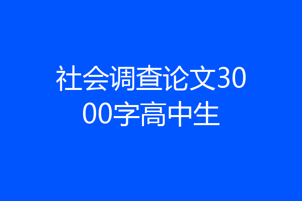 社会调查论文3000字高中生