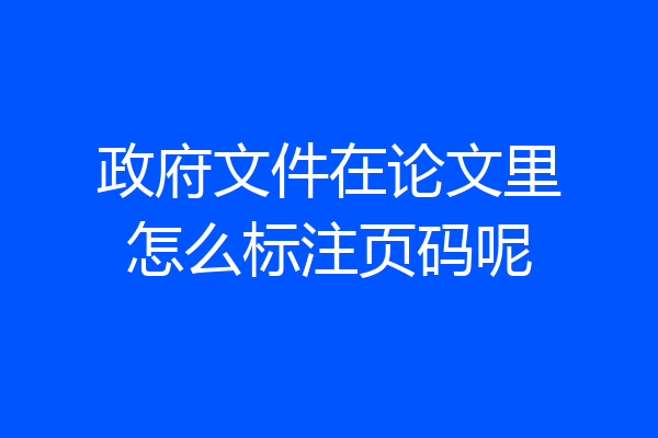政府文件在论文里怎么标注页码呢