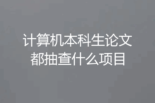 计算机本科生论文都抽查什么项目