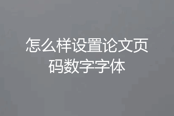 怎么样设置论文页码数字字体