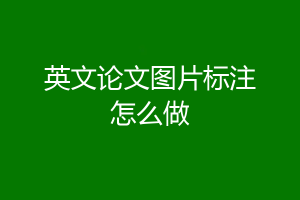英文论文图片标注怎么做