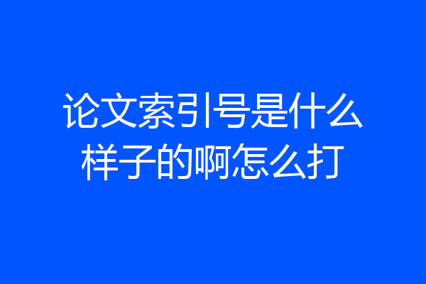 论文索引号是什么样子的啊怎么打