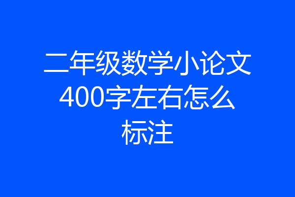 二年级数学小论文400字左右怎么标注