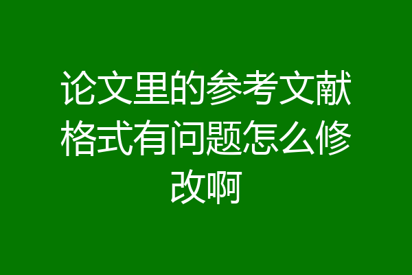 论文里的参考文献格式有问题怎么修改啊