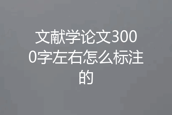 文献学论文3000字左右怎么标注的