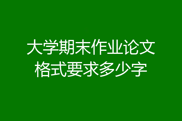 大学期末作业论文格式要求多少字