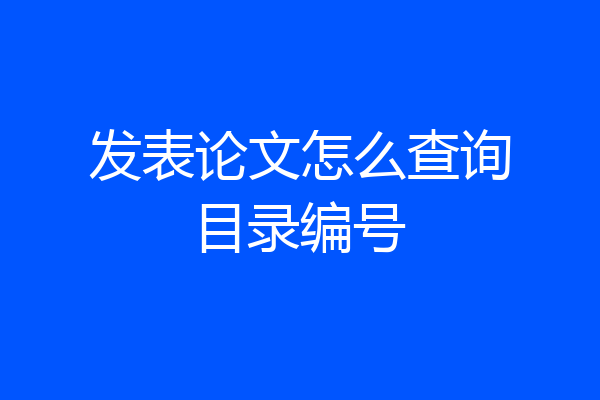 发表论文怎么查询目录编号