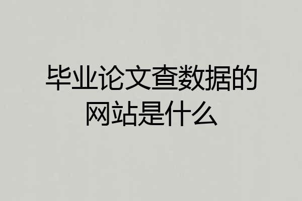 毕业论文查数据的网站是什么