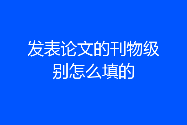 发表论文的刊物级别怎么填的