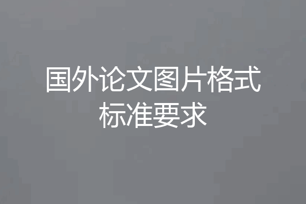 国外论文图片格式标准要求