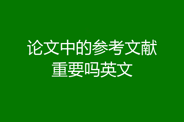 论文中的参考文献重要吗英文