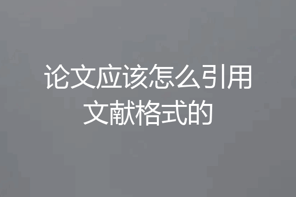 论文应该怎么引用文献格式的