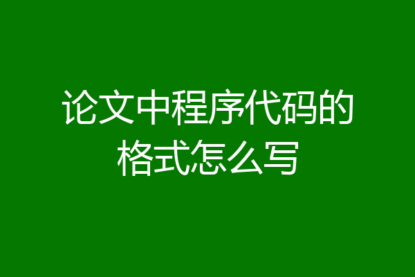 论文中程序代码的格式怎么写