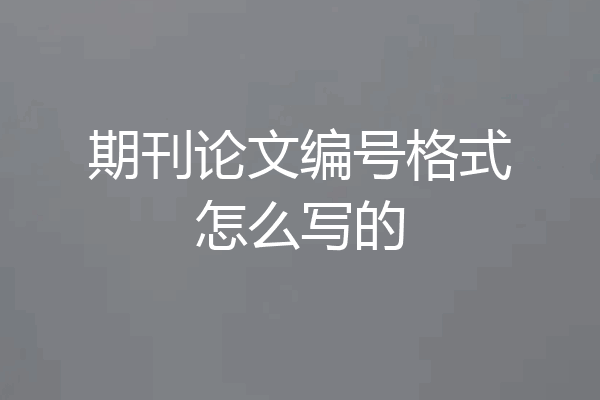 期刊论文编号格式怎么写的