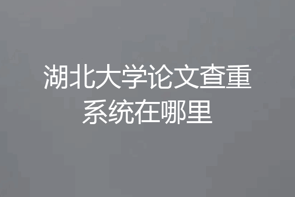 湖北大学论文查重系统在哪里