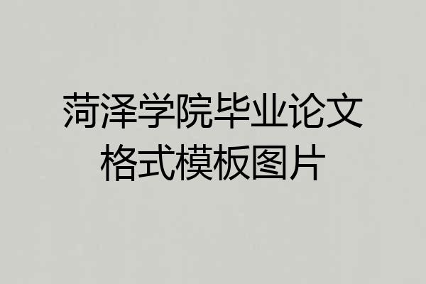 菏泽学院毕业论文格式模板图片