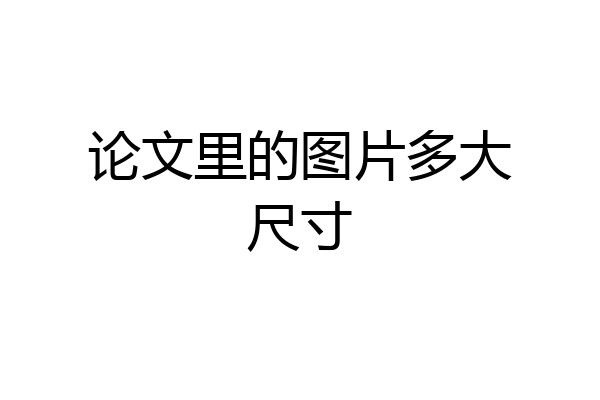 论文里的图片多大尺寸