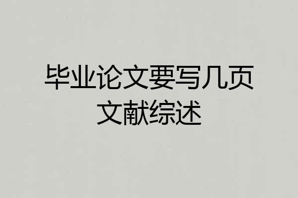 毕业论文要写几页文献综述