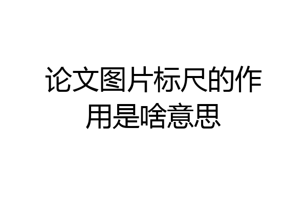 论文图片标尺的作用是啥意思