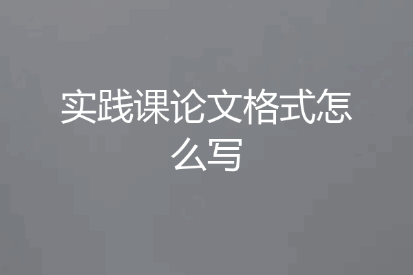 实践课论文格式怎么写