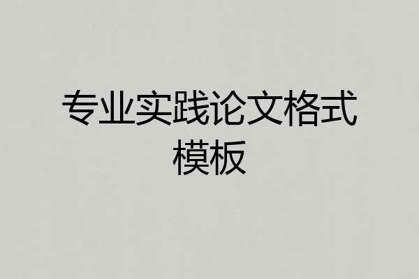 专业实践论文格式模板