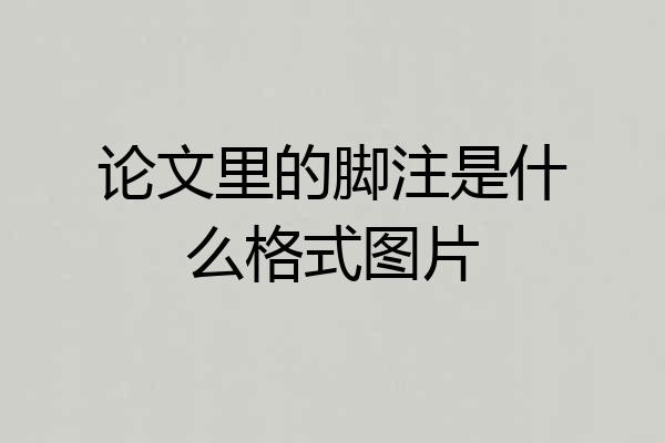 论文里的脚注是什么格式图片