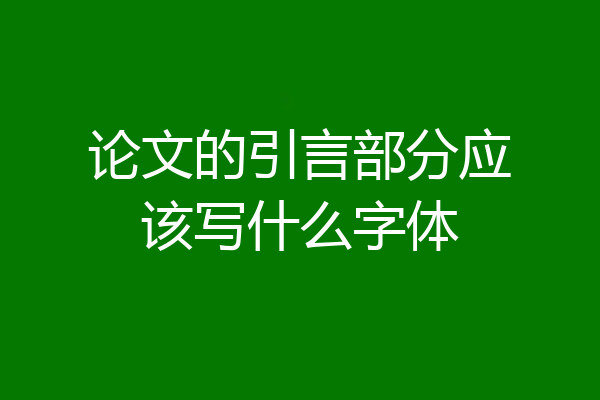 论文的引言部分应该写什么字体