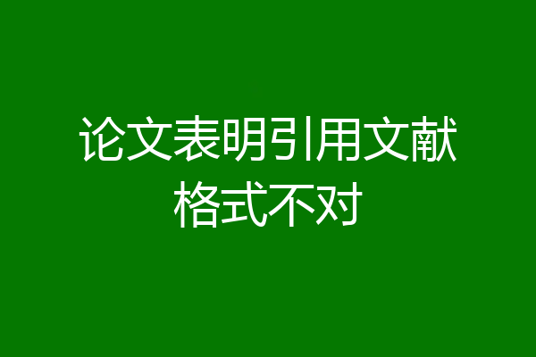 论文表明引用文献格式不对