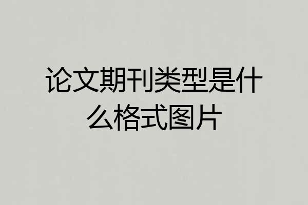 论文期刊类型是什么格式图片