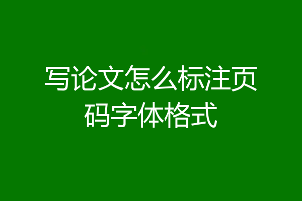 写论文怎么标注页码字体格式