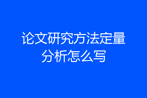 论文研究方法定量分析怎么写