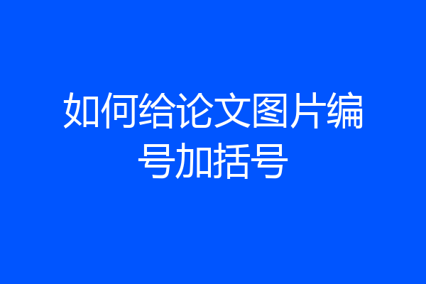 如何给论文图片编号加括号