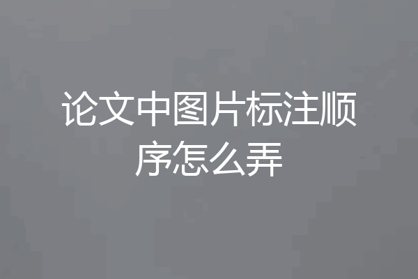 论文中图片标注顺序怎么弄