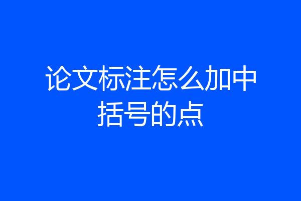 论文标注怎么加中括号的点