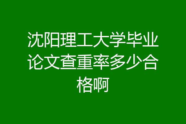 沈阳理工大学毕业论文查重率多少合格啊
