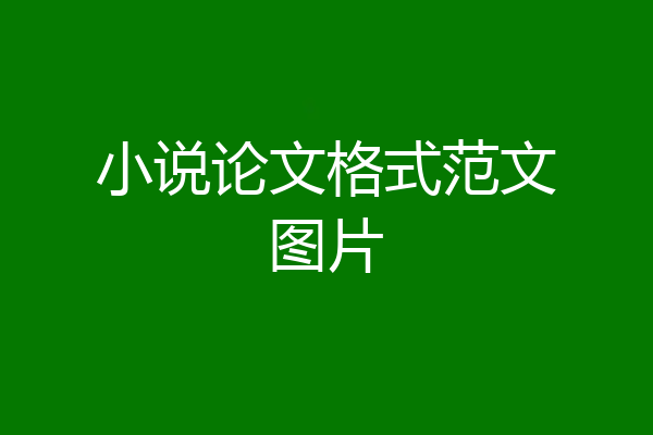 小说论文格式范文图片