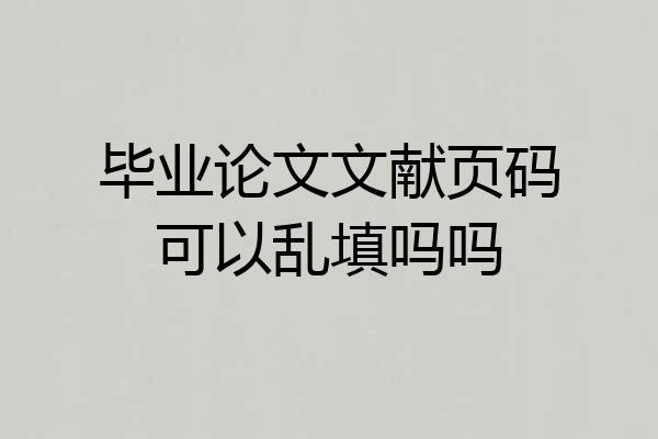 毕业论文文献页码可以乱填吗吗