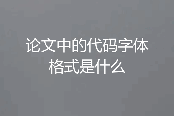 论文中的代码字体格式是什么