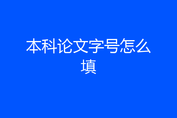 本科论文字号怎么填