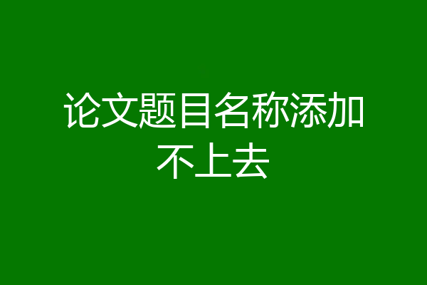 论文题目名称添加不上去