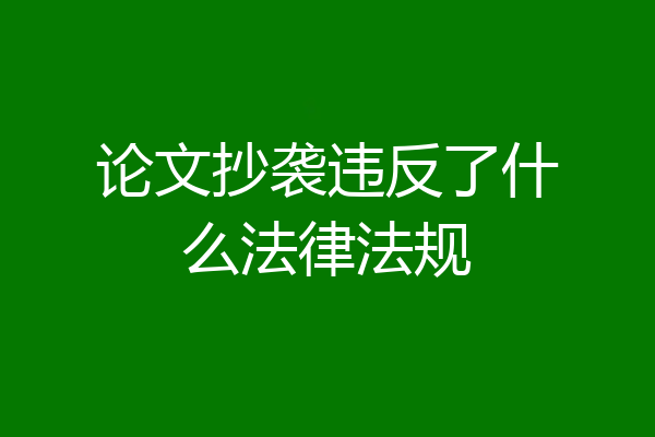 论文抄袭违反了什么法律法规