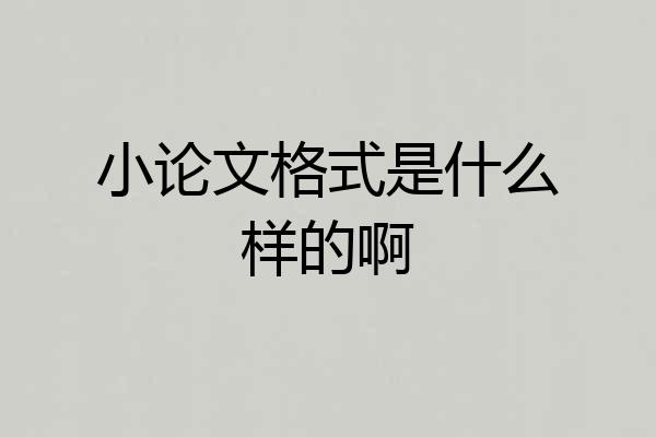 小论文格式是什么样的啊