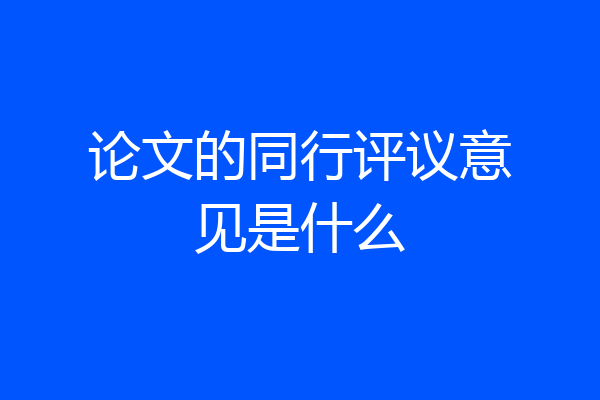 论文的同行评议意见是什么