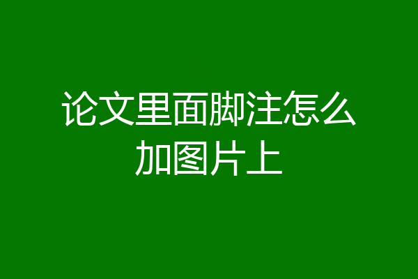 论文里面脚注怎么加图片上