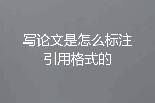 写论文是怎么标注引用格式的