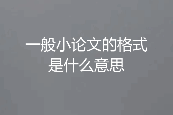 一般小论文的格式是什么意思