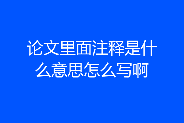 论文里面注释是什么意思怎么写啊