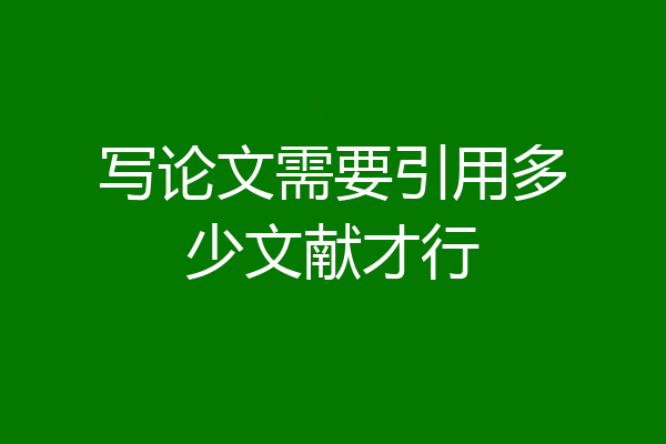写论文需要引用多少文献才行