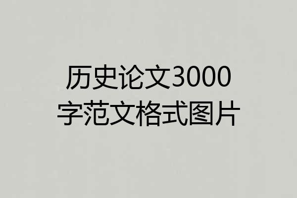 历史论文3000字范文格式图片