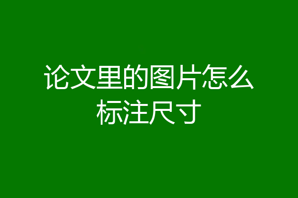 论文里的图片怎么标注尺寸